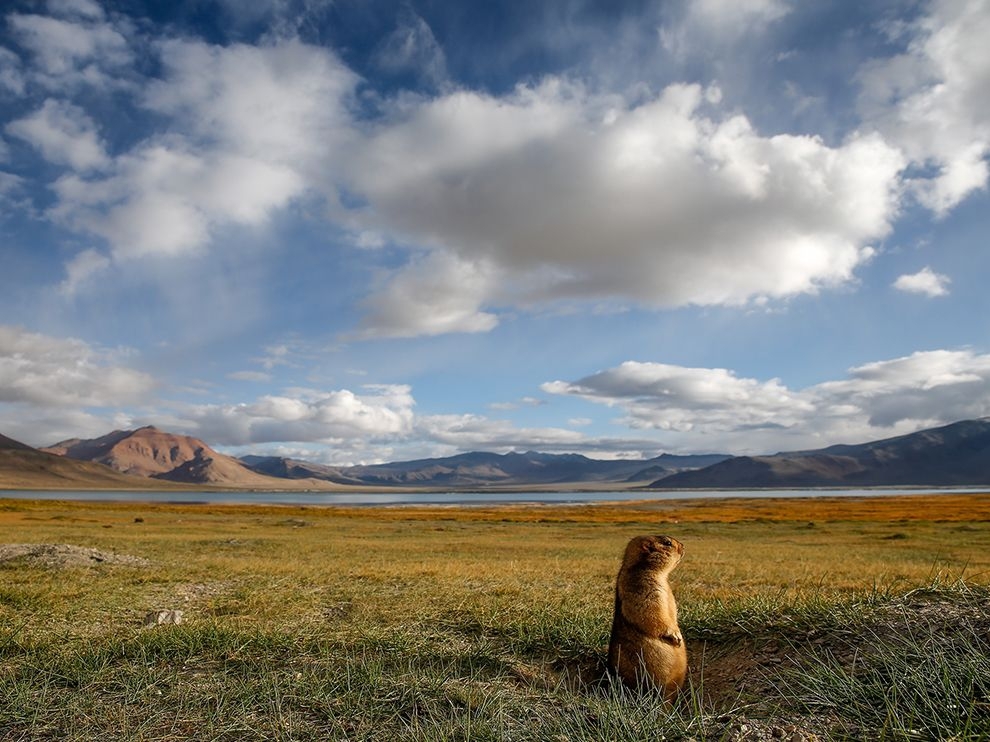 Фотографии National Geographic