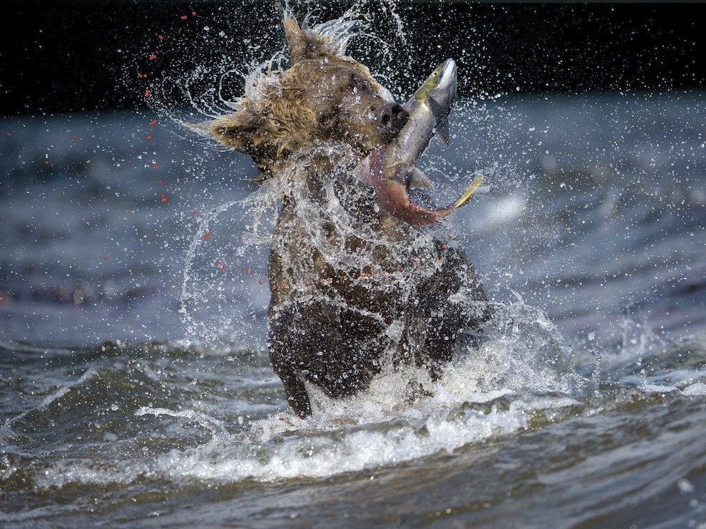 Фотографии National Geographic