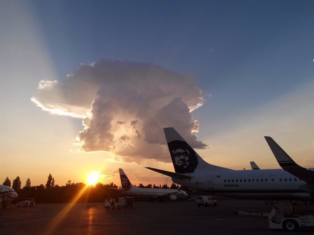 Облако похоже на логтип авиакомпании 