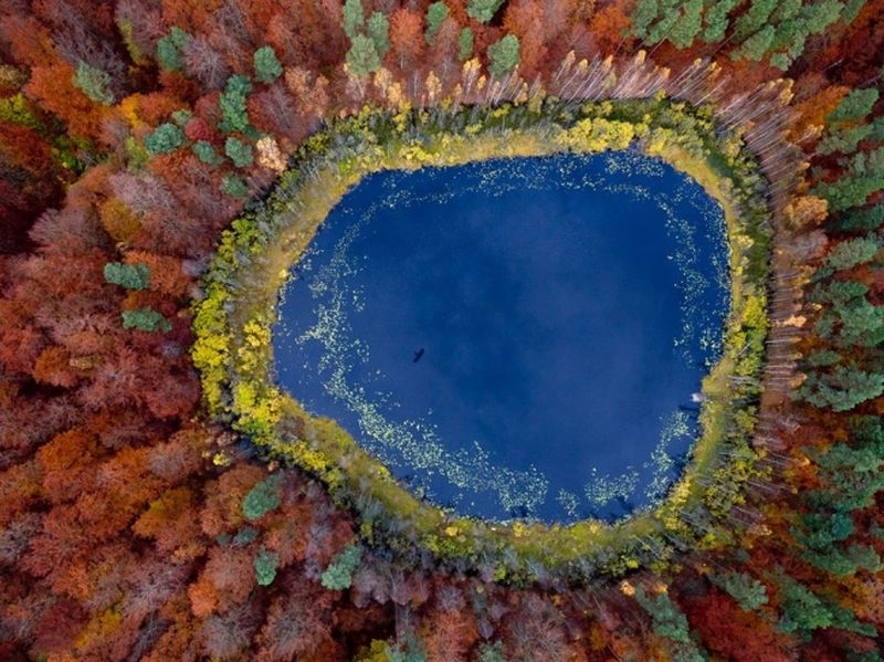 Фотографии, в которые трудно поверить