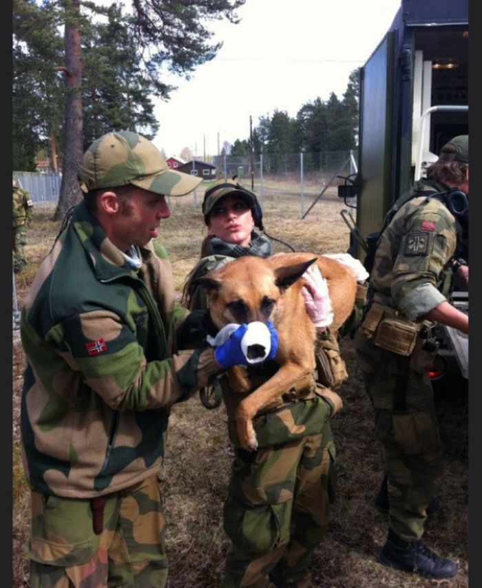 Норвежские военные девушки