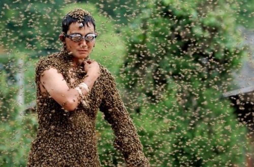 Чемпионат по приманиванию пчел в Китае