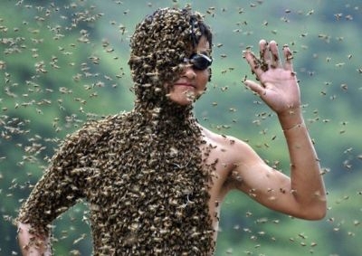 Чемпионат по приманиванию пчел в Китае