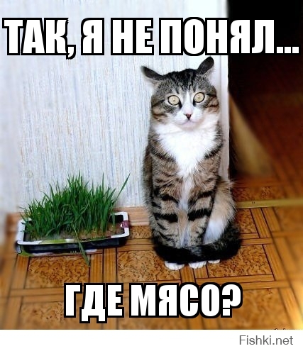 Так, я не понял...