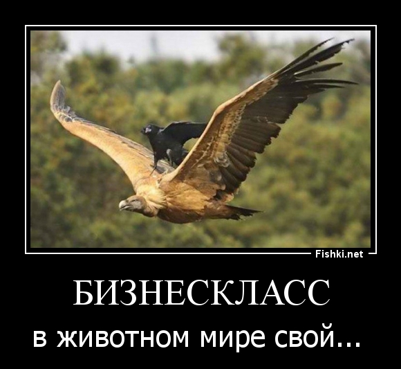 бизнескласс