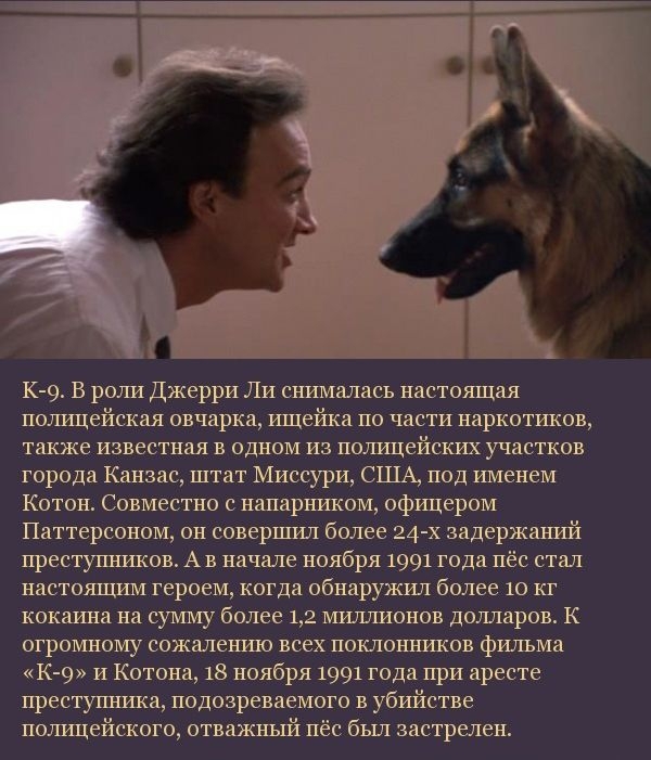 Коллекция кинофактов