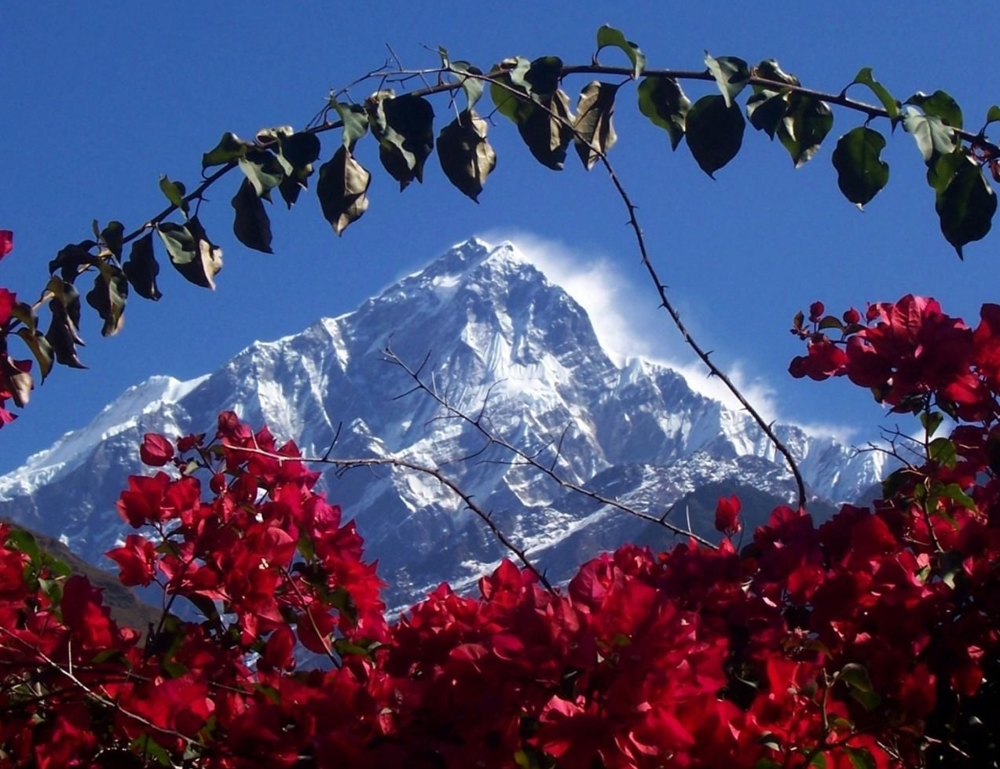 Магически притягательные Гималаи: интересные факты
