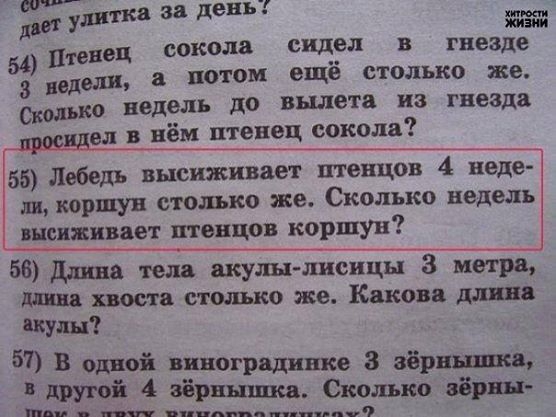 Это же голову поломать, чему учат сейчас в Российских школах!