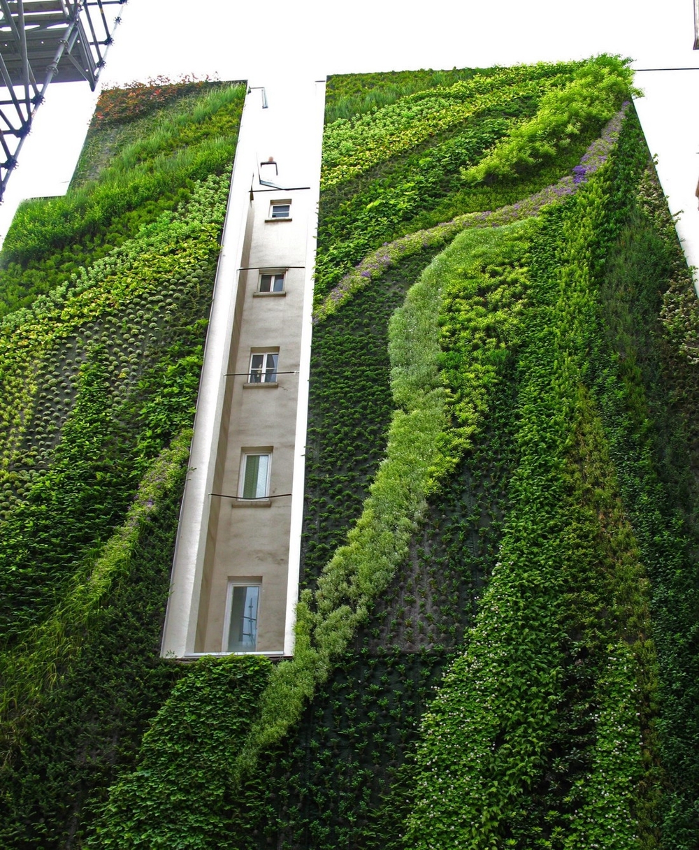 Зеленое здание