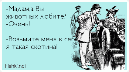 -Мадам,а Вы  животных любите? -Очень!  -Возьмите меня к себе, я такая скотина!