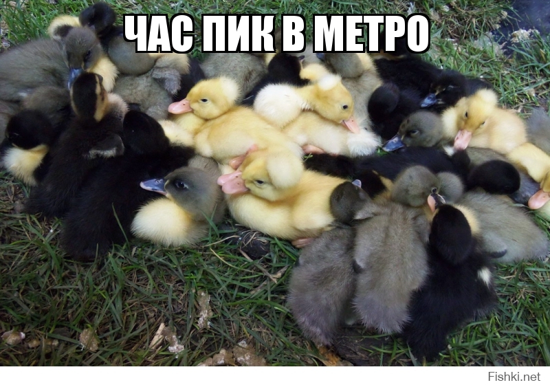 Час Пик в метро