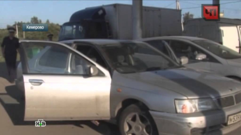 Пьяный житель Кемерова катал на угнанном авто бомжа и гуся 