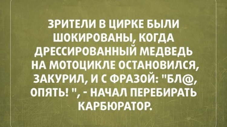 Лучшие цитаты дня