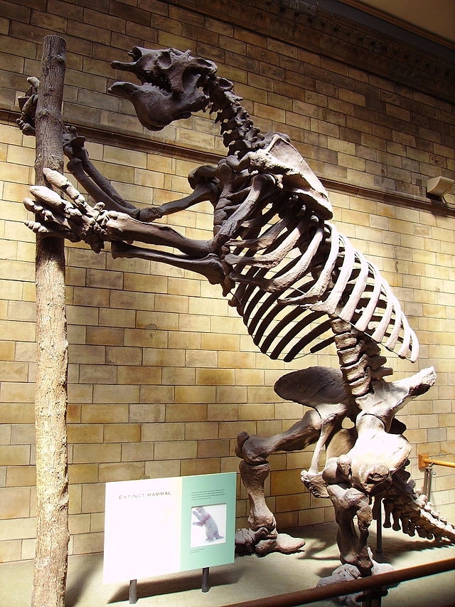 Доисторические предки-гиганты современных животных