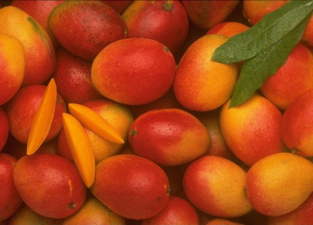 Некоторые факты о манго