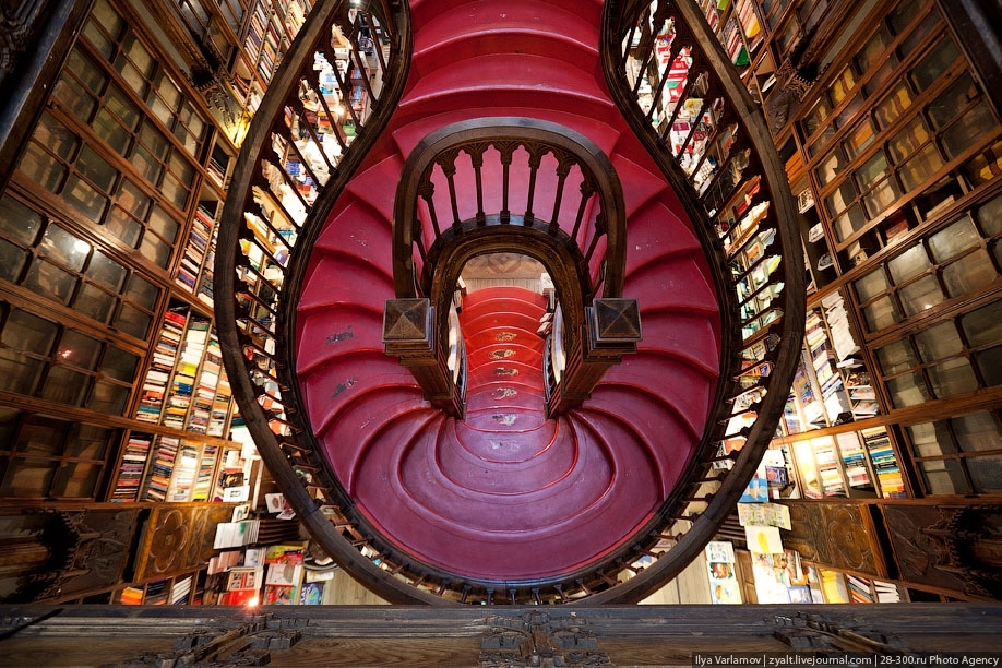 Книжный магазин Livraria Lello