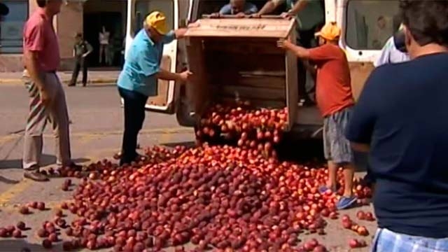 В Испании фермеры сожгли флаг ЕС и вывалили килограммы персиков и тома