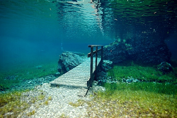 Прозрачное озеро в Австрии