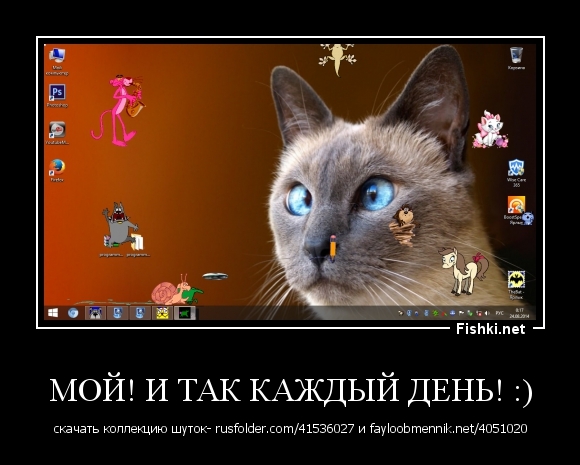 Мой! И так каждый день! :)