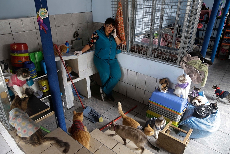 Жительница Перу превратила свой дом в хоспис
