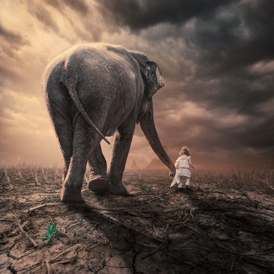 Причудливые фотоманипуляции румынского фотографа Caras Ionut...