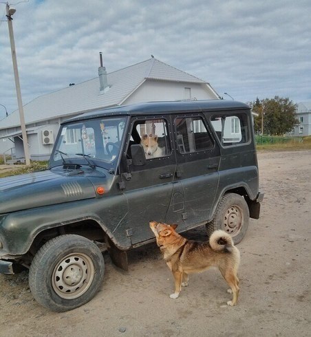 Подборка автоприколов. Часть 154