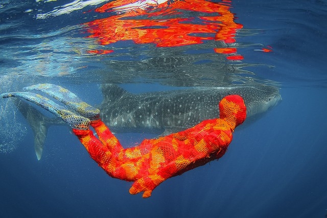 Вязаное украшение морских глубин