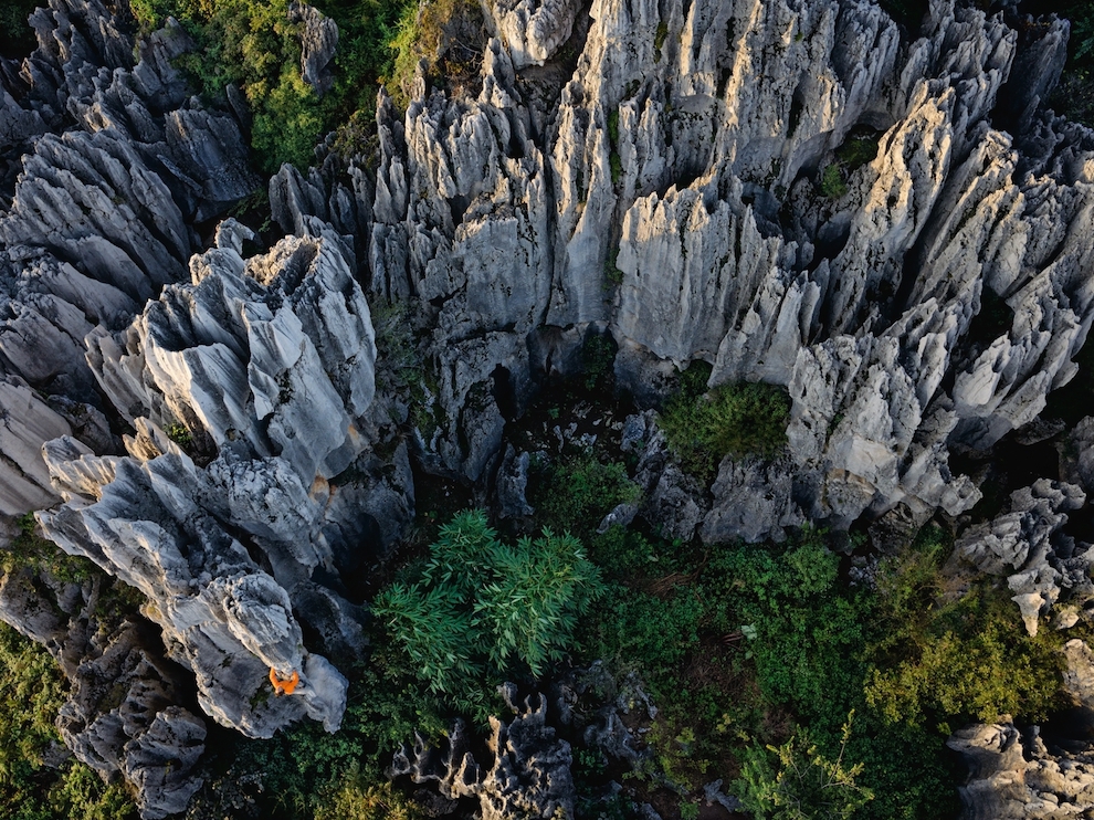 National Geographic: лучшие фотографии августа