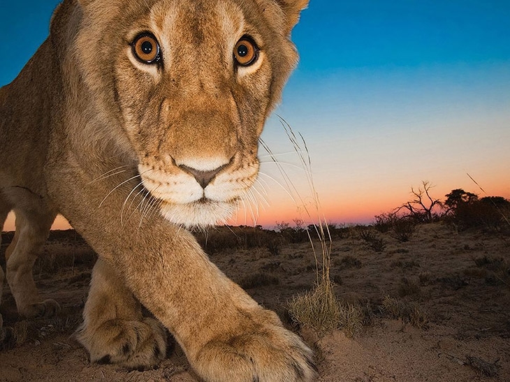 National Geographic: лучшие фотографии августа