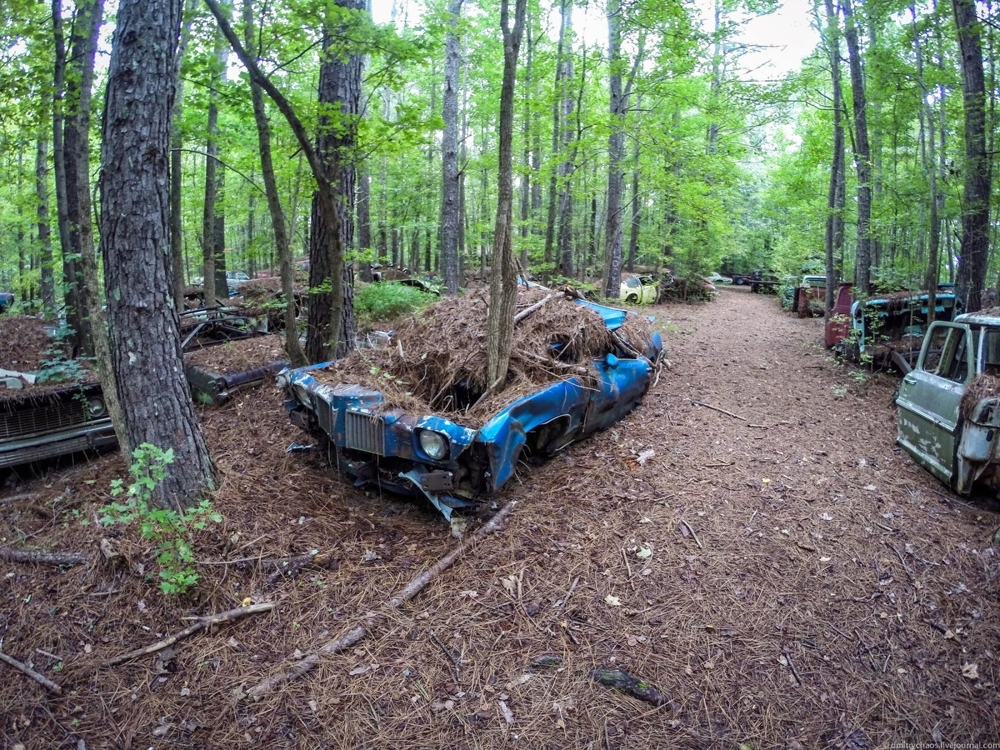 Кладбище старых автомобилей Old Car City