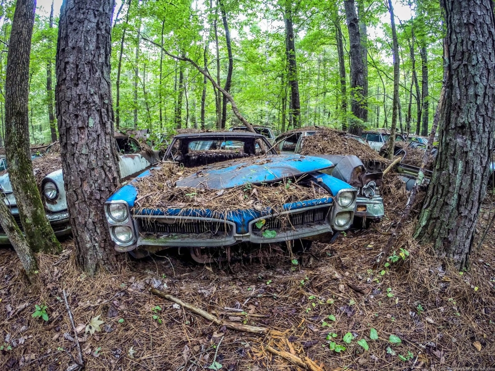 Кладбище старых автомобилей Old Car City