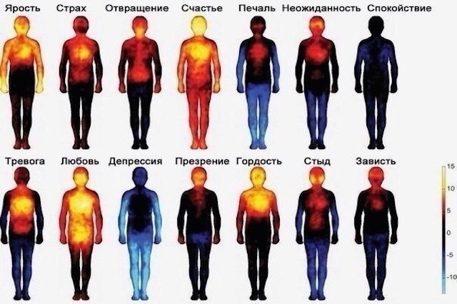 Тепловая карта, показывающая, как мы чувствуем эмоции. 