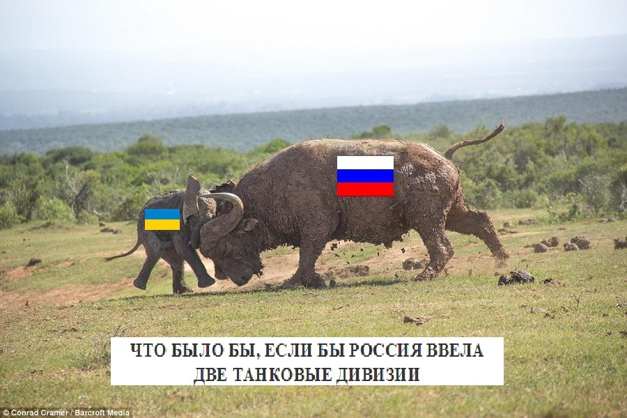 Что если бы Россия ввела 2 танковые дивизии на украину