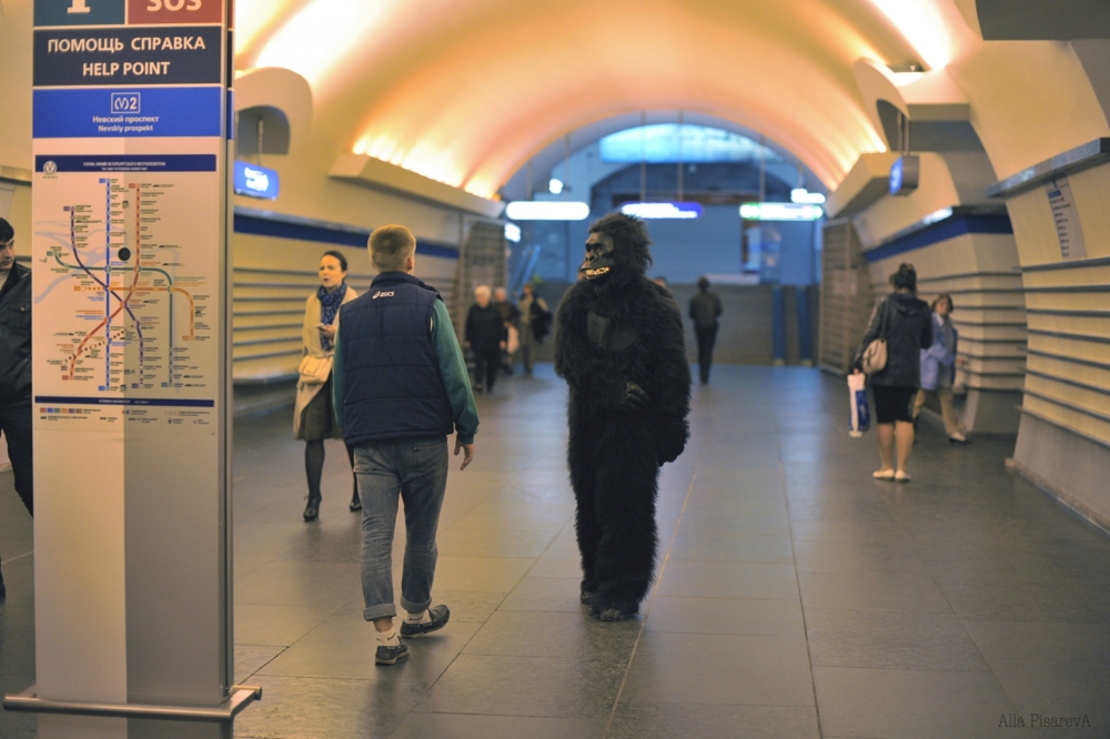 Обычный вечер в Петербуржском метро