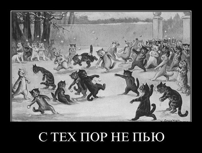 101 демотиватор