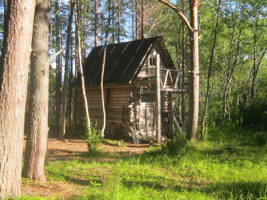 Снова в строю