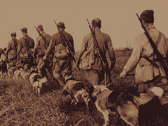 Фотографии Великой Отечественной войны