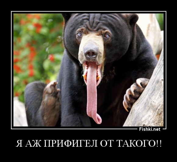 Я аж прифигел от такого!!