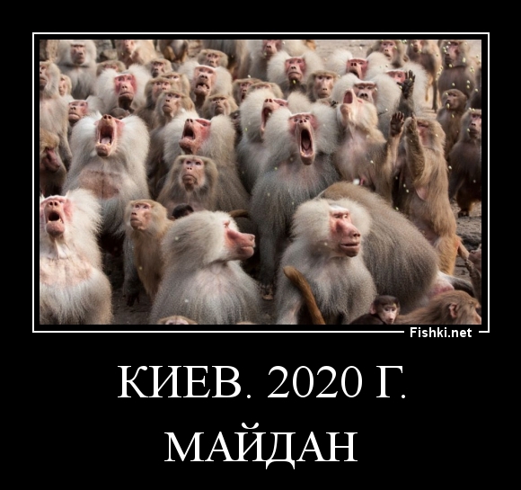 Киев. 2020 г.