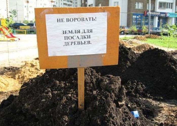 Такое возможно только в России