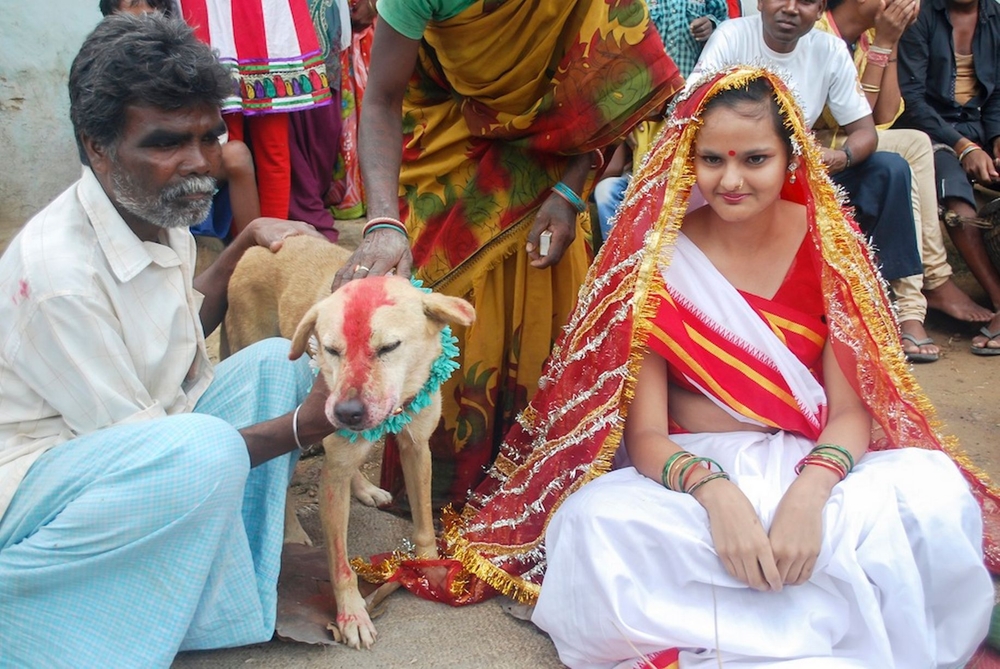 Индийская девушка вышла замуж за собаку