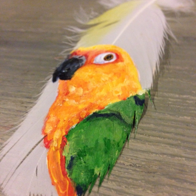 Удивительные рисунки на птичьих перьях