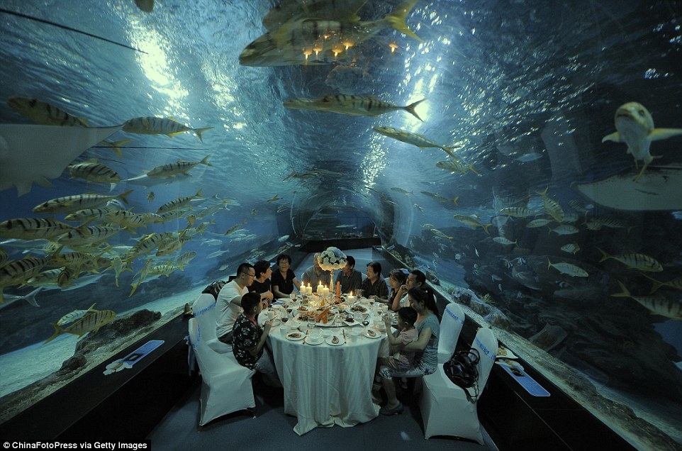 Ужин в аквариуме