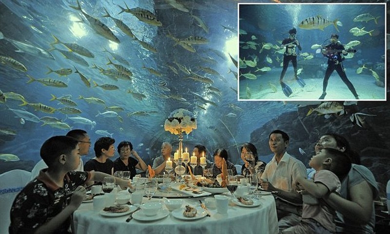 Ужин в аквариуме
