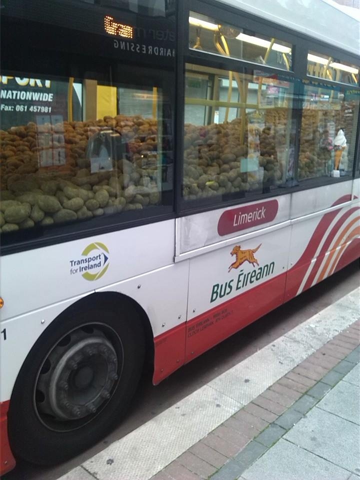 Автобус картошки