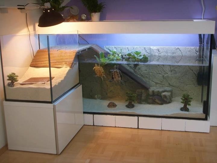 Оригинальные аквариумы в интерьере