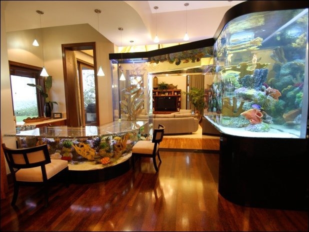 Стоит ли менять аквариум?