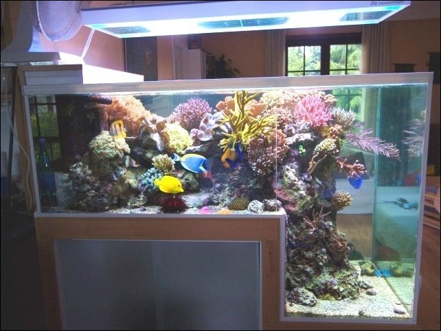 Стоит ли менять аквариум?