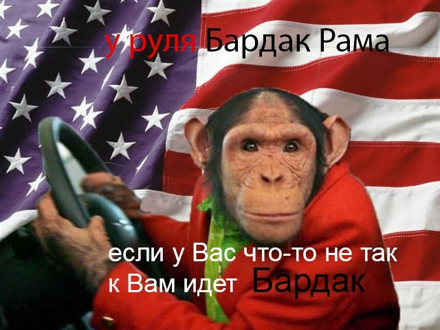 у руля