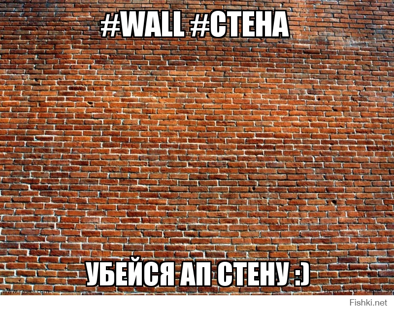 #wall #стена 